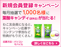 �V�K����o�^�L�����y�[���I�������I��1,000���l�ɗt�_�L�����f�B�i�����i�j��������I