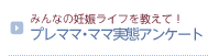 �v���}�}VS�}�}�@�\���Ǝ��� �M���b�v�A���P�[�g