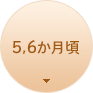 5,6������