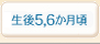 ����5,6������
