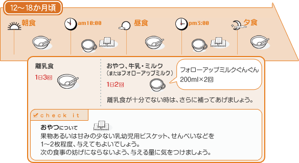 12〜18か月頃