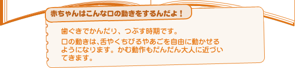 赤ちゃんはこんな口の動きをするんだよ! 歯ぐきでかんだり、つぶす時期です。 口の動きは、舌やくちびるやあごを自由に動かせるようになります。 かむ動作もだんだん大人に近づいてきます。