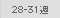 28-31�T